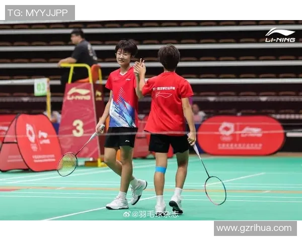 羽毛球的魅力:深入解析南京羽毛球队的默契配合与战术策略 羽毛球的魅力:深入解析南京羽毛球队的默契配合与战术策略